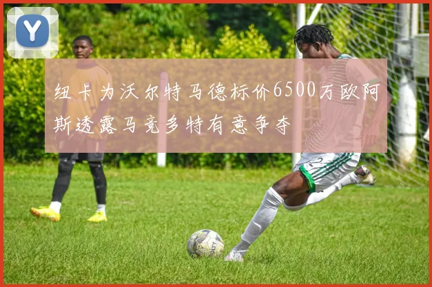 纽卡为沃尔特马德标价6500万欧阿斯透露马竞多特有意争夺
