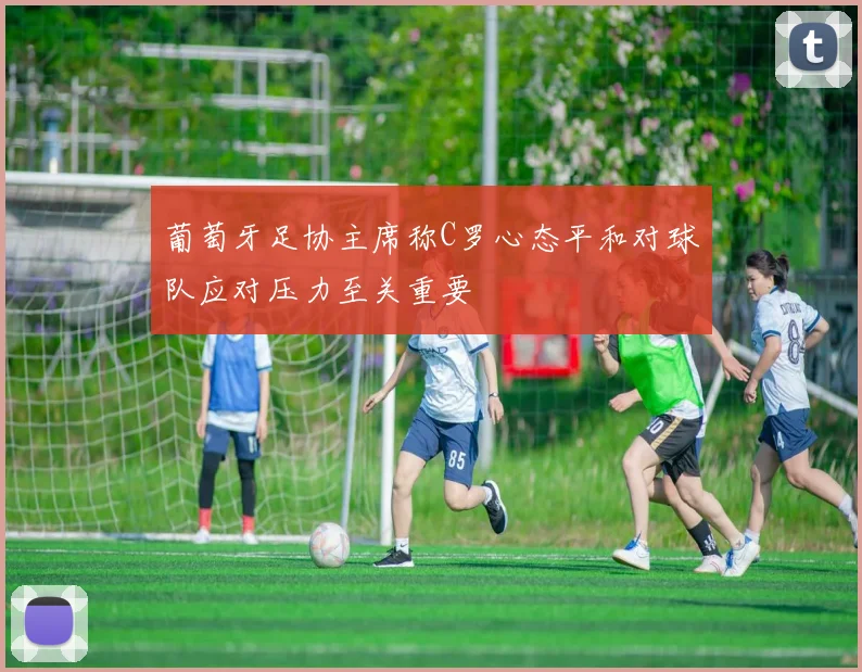 葡萄牙足协主席称C罗心态平和对球队应对压力至关重要